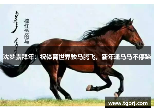 沈梦露拜年：祝体育世界骏马腾飞，新年逢马马不停蹄
